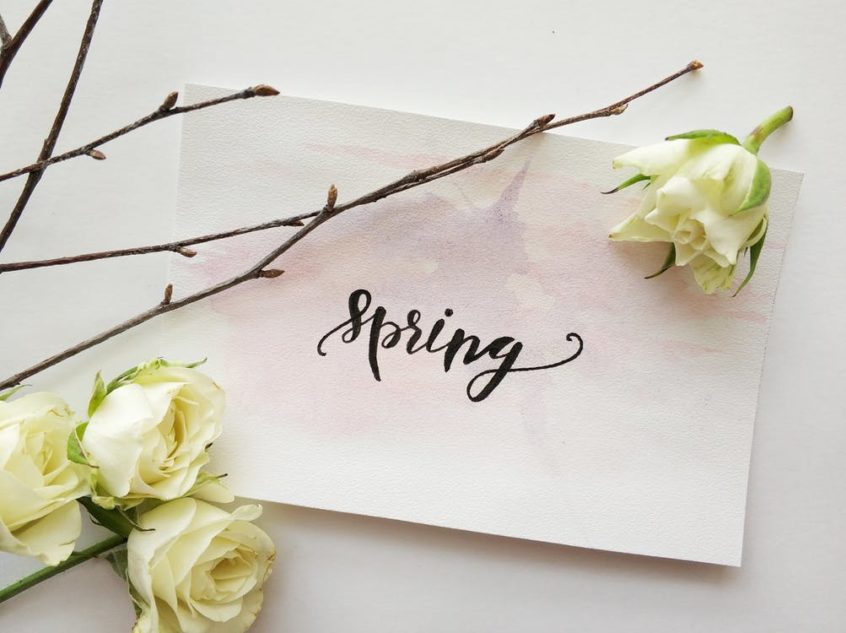 spring on a paper