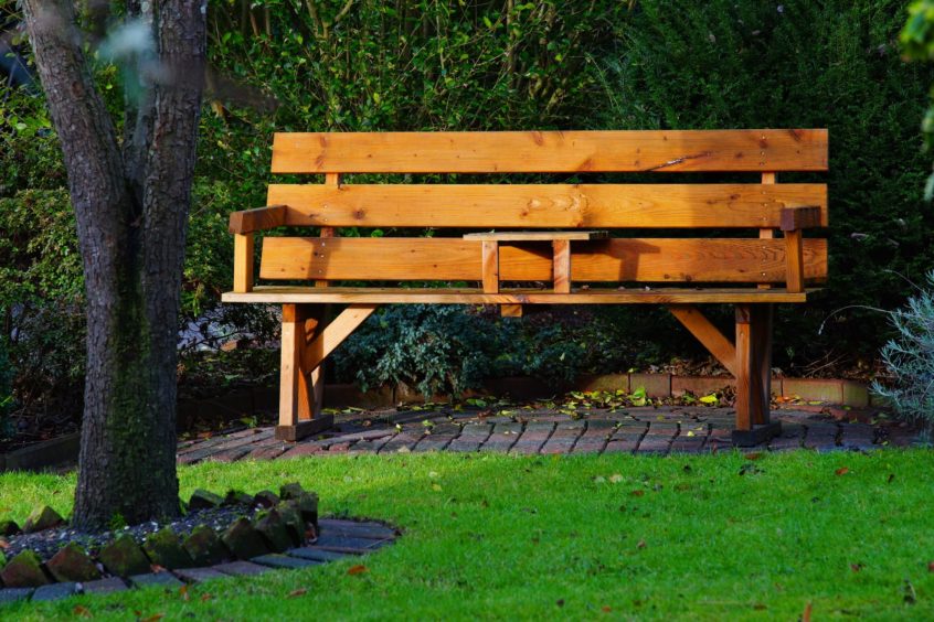 Beautiful Backyard Tips for Renters - picture of bench in backyard