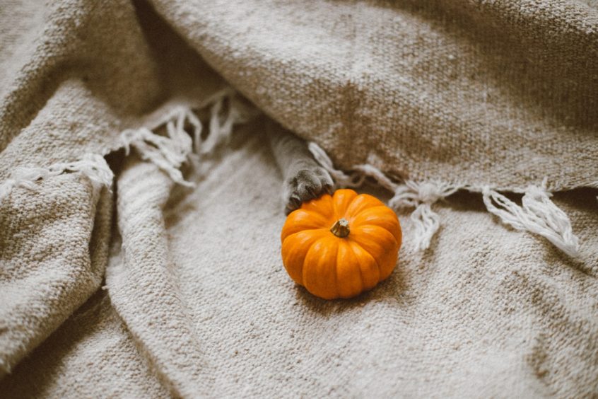 8 Tips for Fall Decor