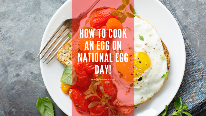 How to Cook an Egg on National Egg Day blog post image