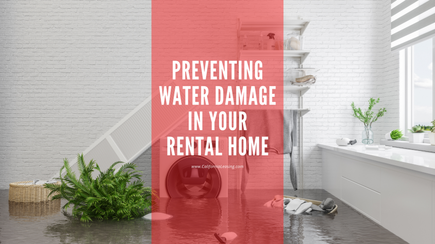 Blog Post Preventing Water Damage in Your Rental Home image