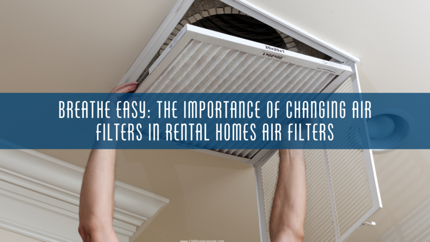 picture of person changing an air filter