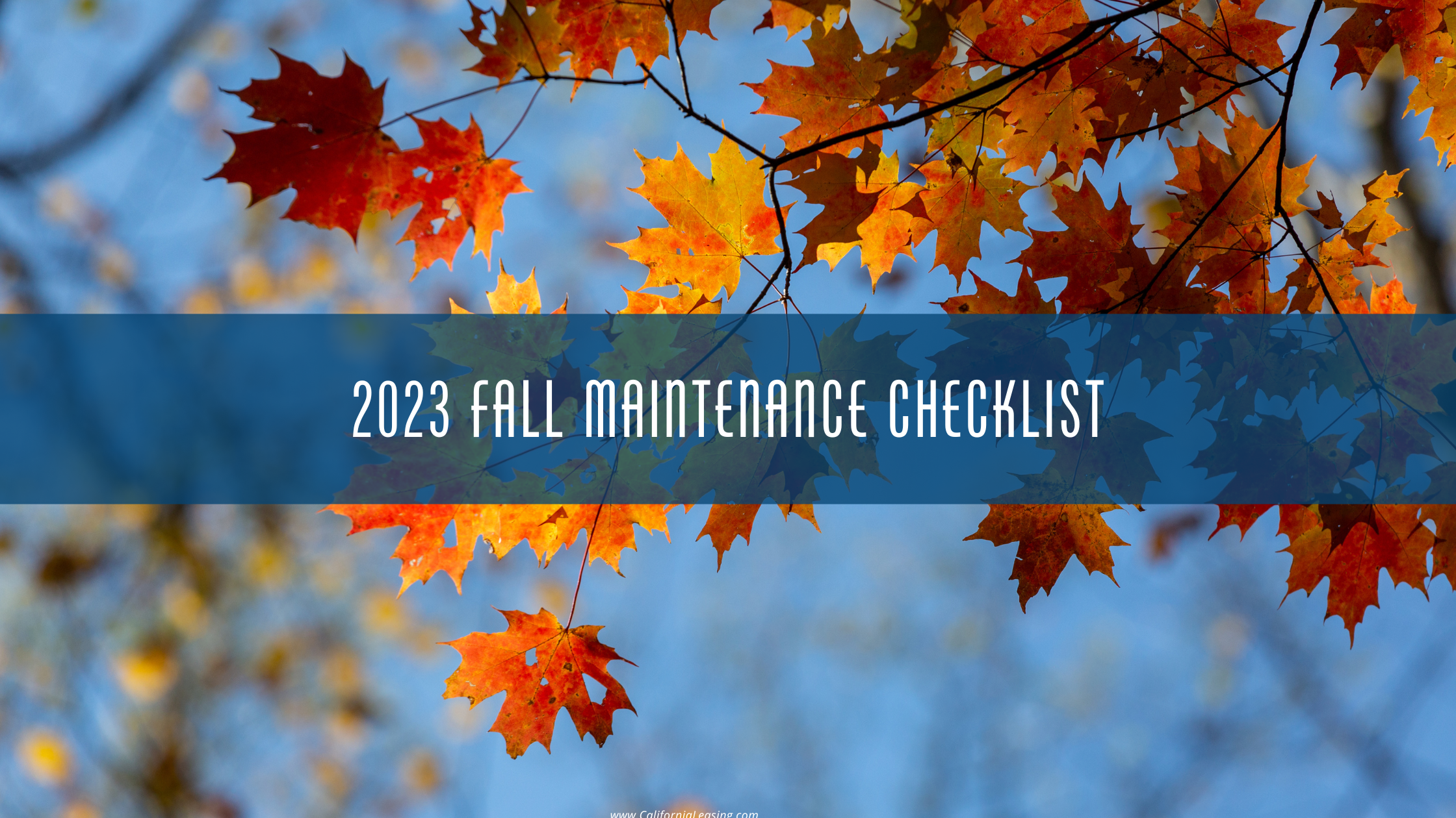 2023 Fall Maintenance Checklist image of leaves