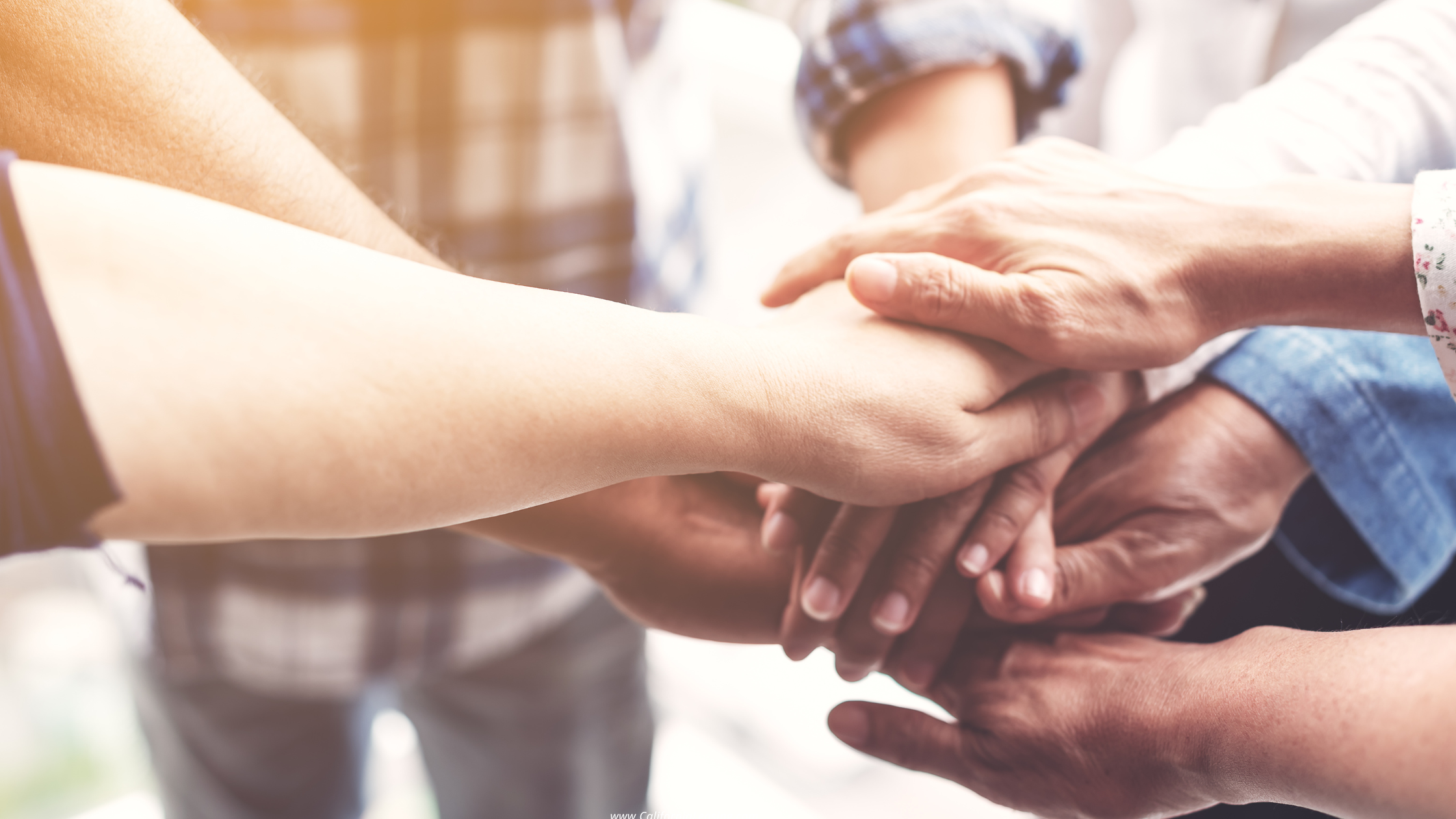 Strengthen community ties with expert property management.