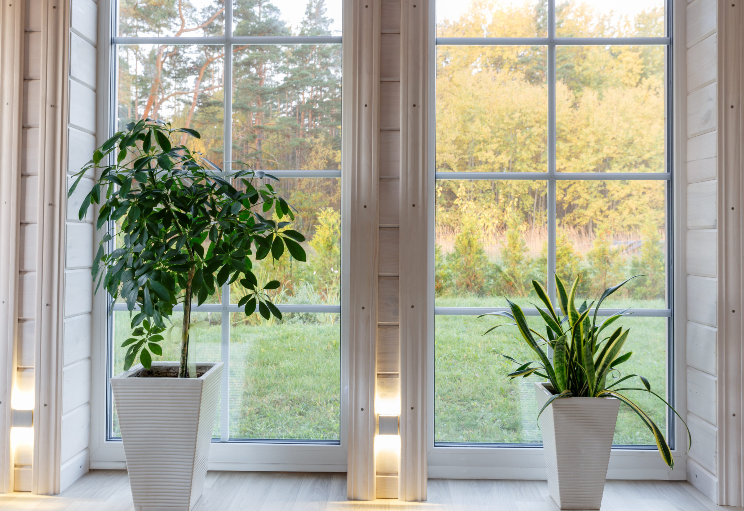 Bright, empty room with large windows, high ceilings, and clean white wood flooring — a move-in ready rental interior