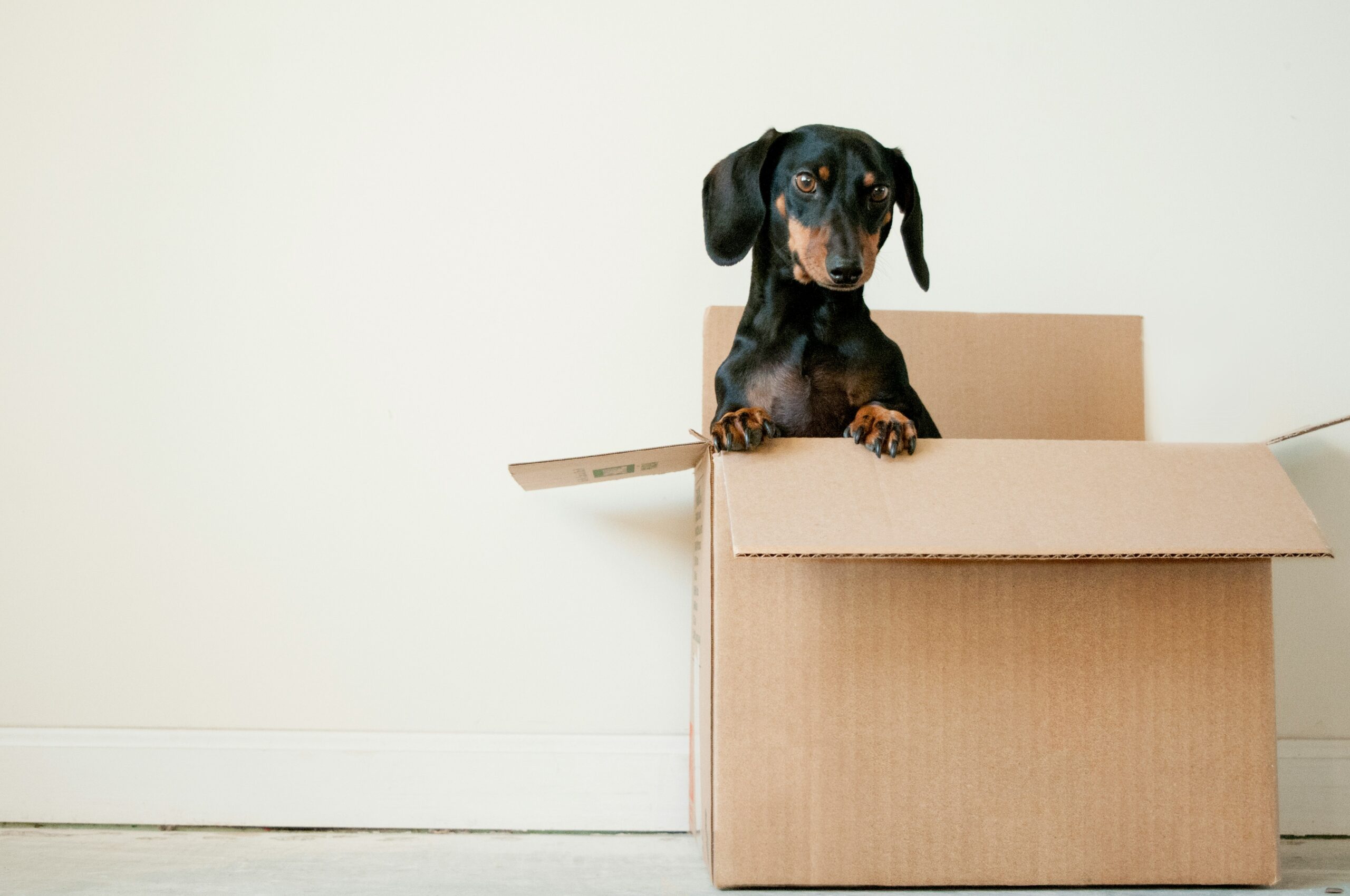 Moving into a Santa Clarita rental? Follow this practical checklist to make move-in day smooth, from utilities to walkthroughs.