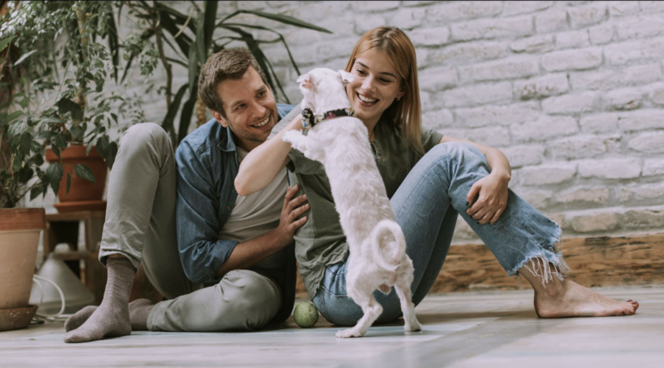 Pet policies can widen your renter pool or create headaches. Here's how Santa Clarita landlords and tenants should handle pets in 2026.
